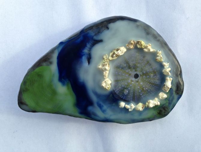 seaurchinencaustic