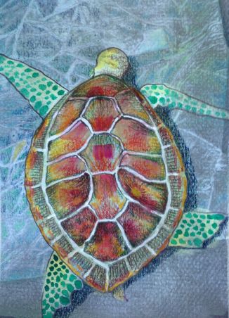 seaturtle1b