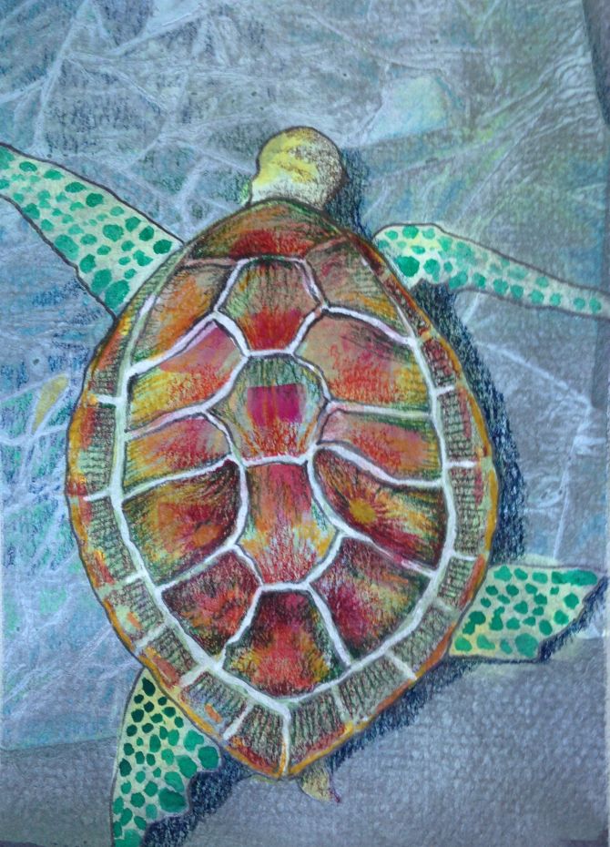 seaturtle1b
