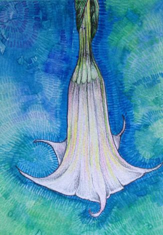 trumpetvinefinished1