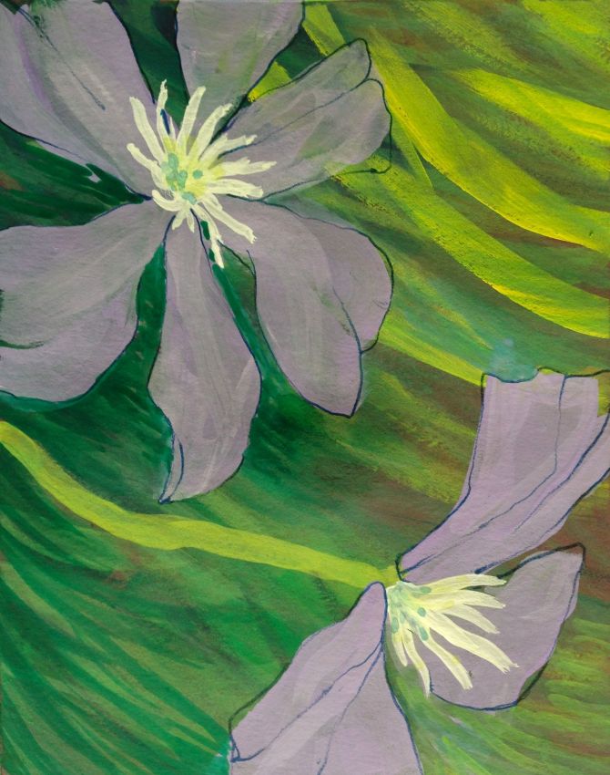 Clematis in progress