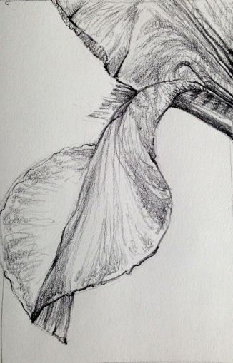 Study for next casein painting