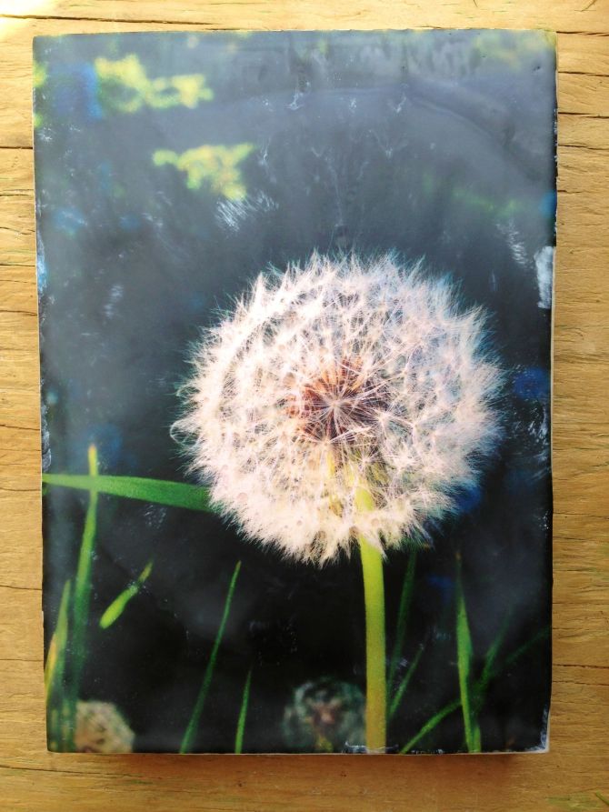 photo encaustic: image printed on light pink tissue