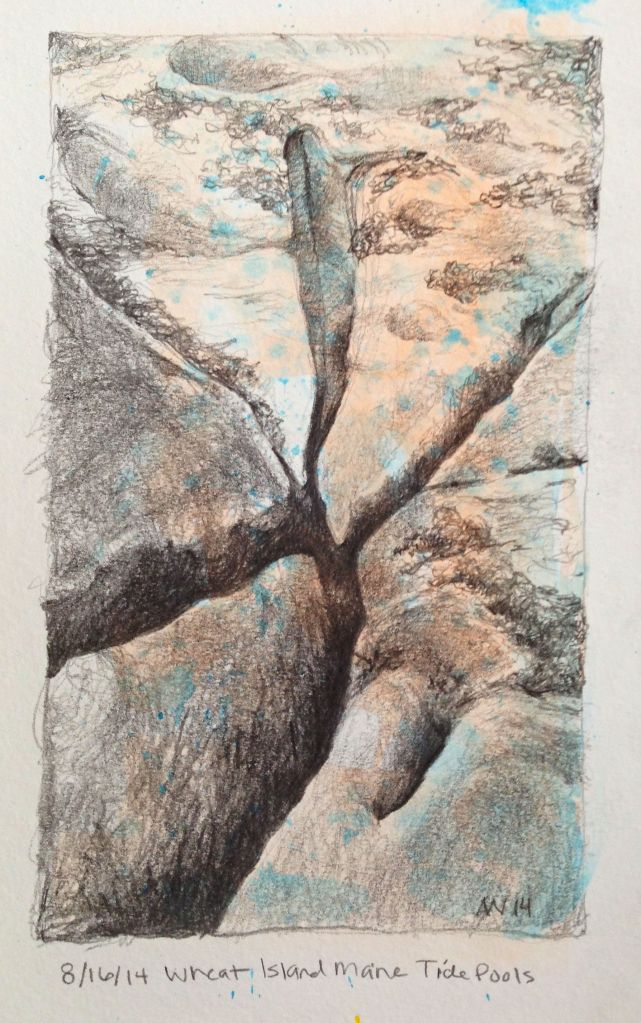 Moleskin Journal: tide pools from Wheat Island, Maine