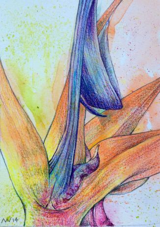 Water-soluble crayon & colored pencil