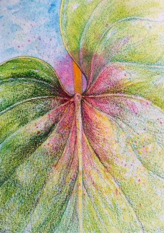 In progress: water soluble crayon & colored pencil