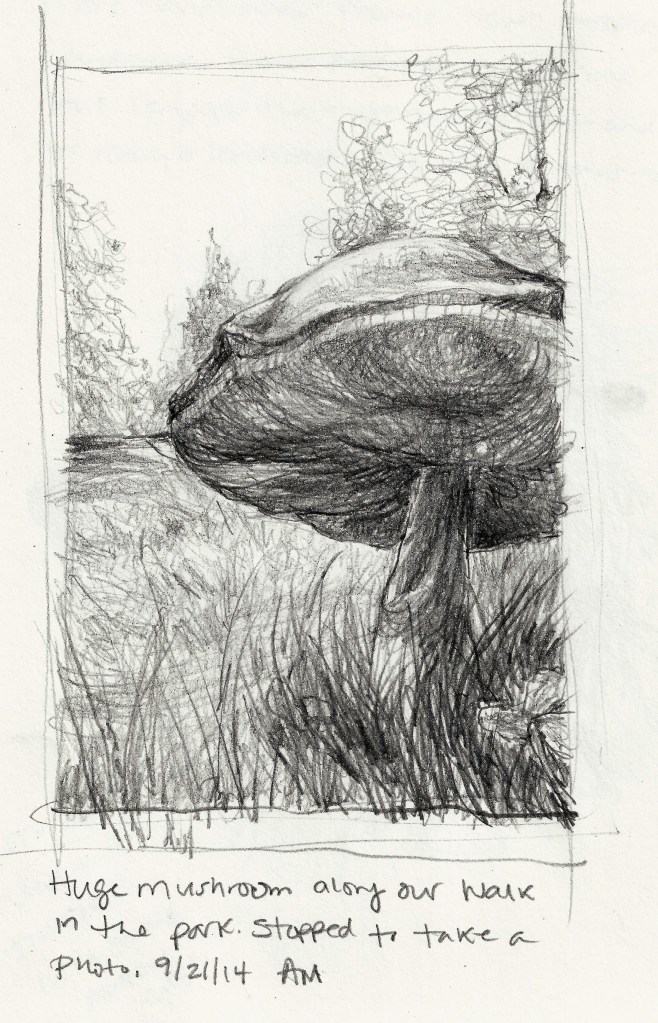 Graphite sketch in progress