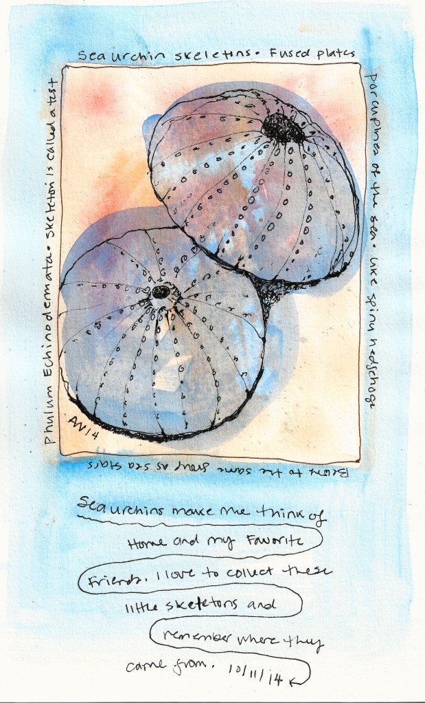 Beginnings: Page One