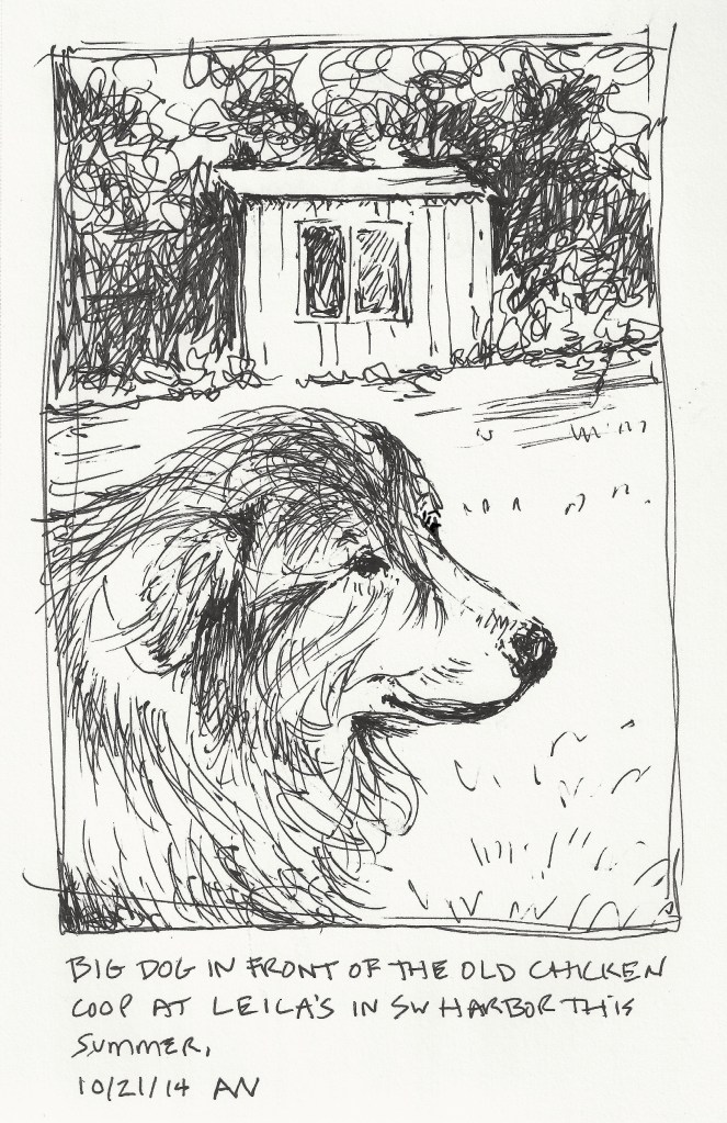 Big in front of Lella's chicken coop in SW Harbor