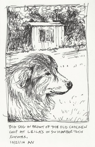 Big in front of Lella's chicken coop in SW Harbor