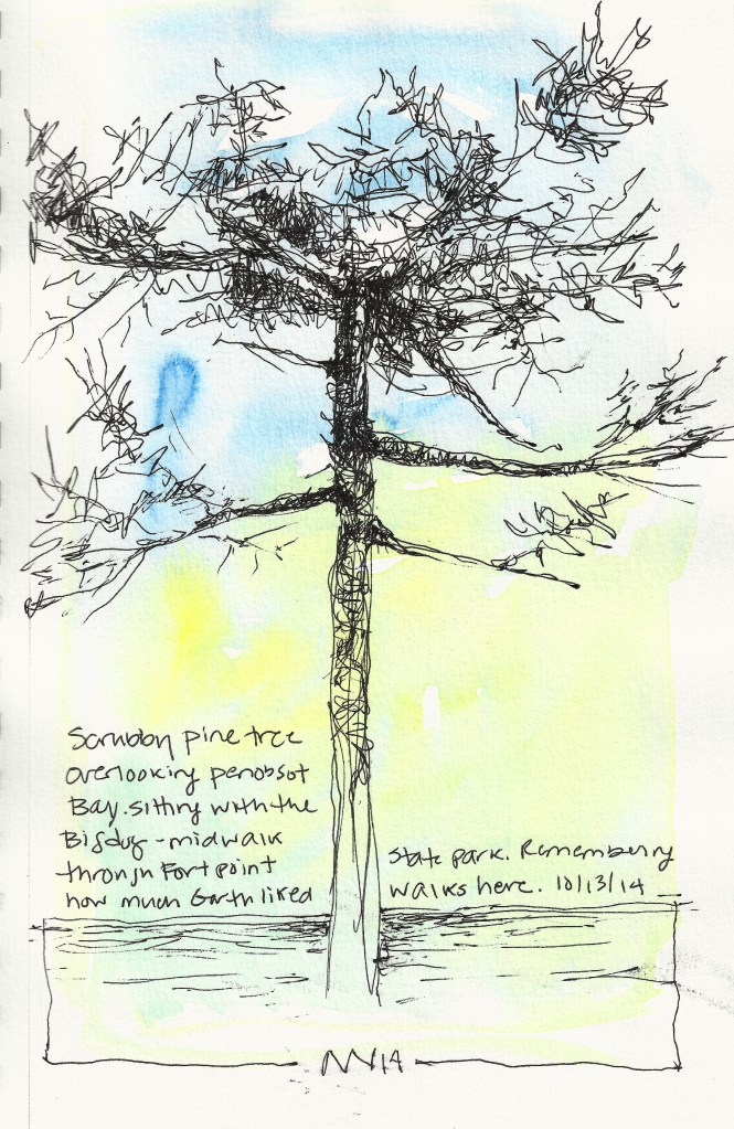 Looking up at the tree tops during our mid-walk rest