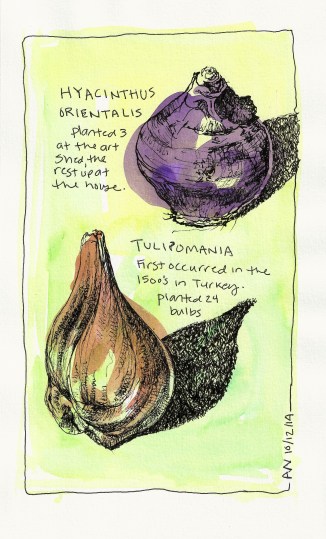 Sunday bulb planting