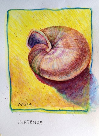 Shell Study: Derwent Inktense