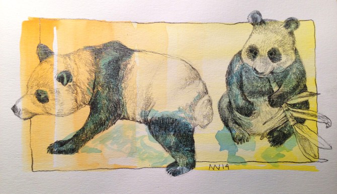 Opaque watercolor and graphite