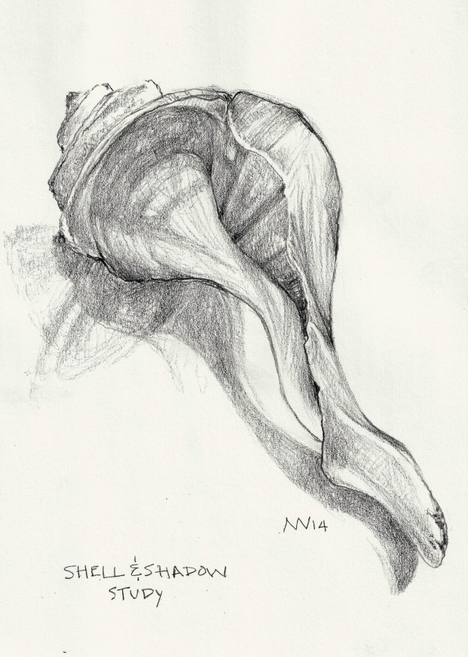 shell study: graphite