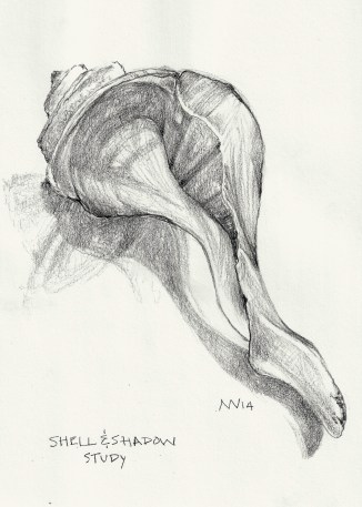 shell study: graphite