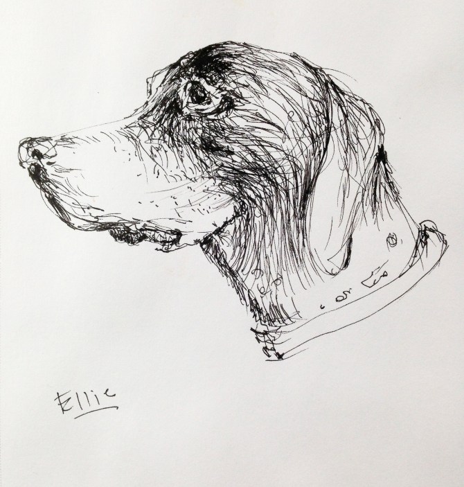 Quick sketch: micron ink pen