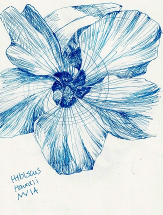 Hibiscus: blue micron ink pen