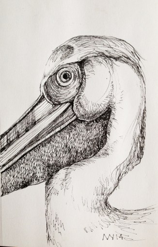 micron ink pen: pelican