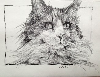 Cat from Castine: graphite