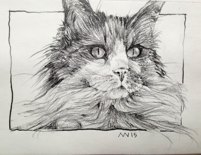 Cat from Castine: graphite