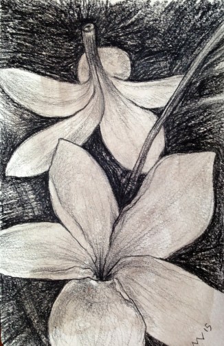 black prismacolor drawn in moleskin sketchbook