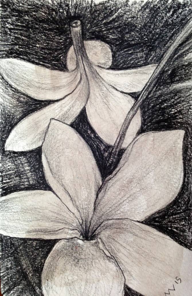 black prismacolor drawn in moleskin sketchbook