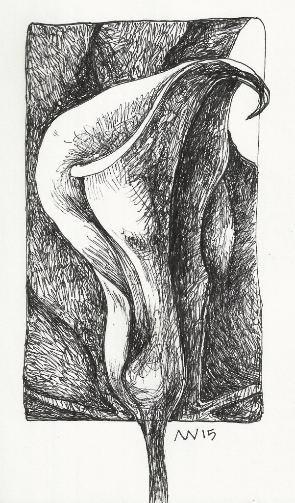 Single Lily inspired by Georgia O'Keefe. Ink pen