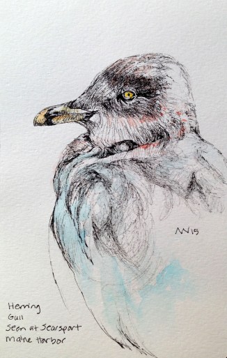 Ink pen and water-soluble crayon