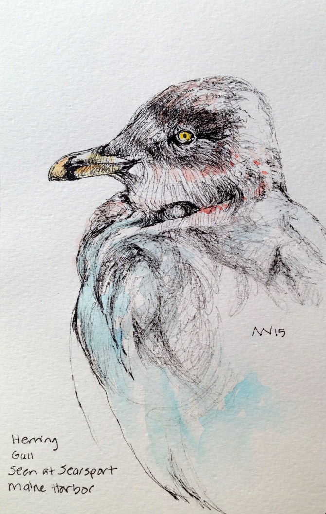 Ink pen and water-soluble crayon