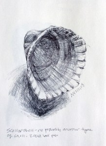 Zebra ballpoint pen drawing