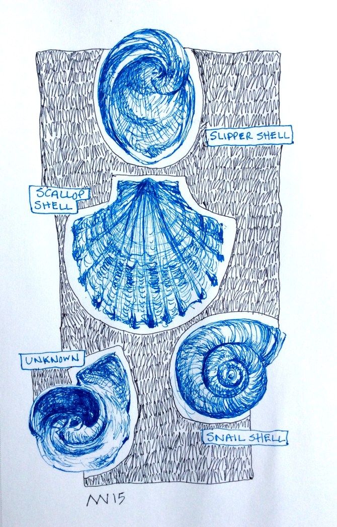 Micron blue pen and zebra ballpoint black pen