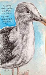 Graphite and water-soluble crayon