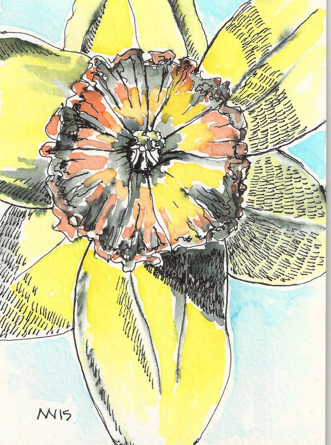 Water-soluble pen and crayon