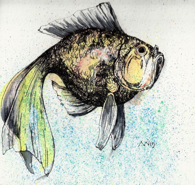 Goldfish in imaginary color