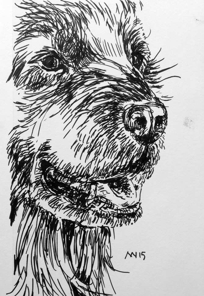 Pitt Pen, brush style tip
