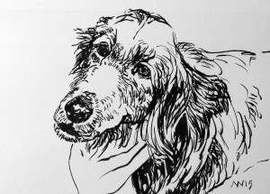 Difficult perspective 