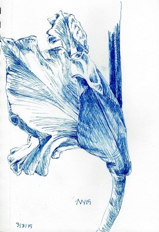 Warm-up sketch for flower journal