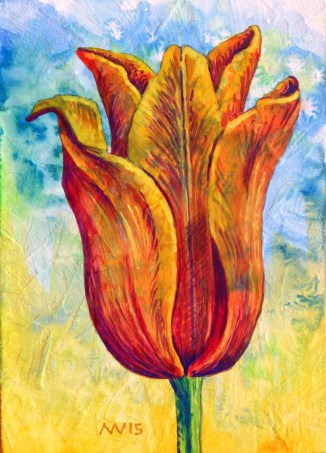 Orange Tulip