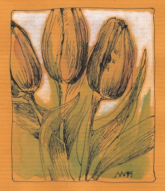 Tulips on colored paper.