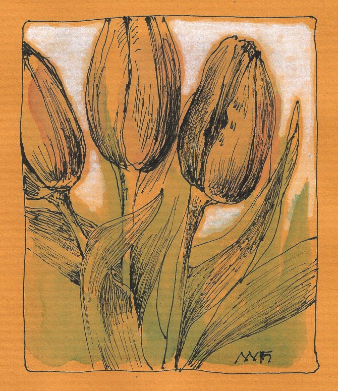 Tulips on colored paper.