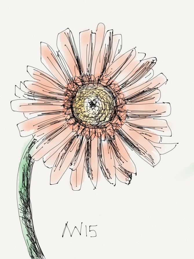 Gerber Daisy: drawn with the pen tool in the iPad app Paper 53