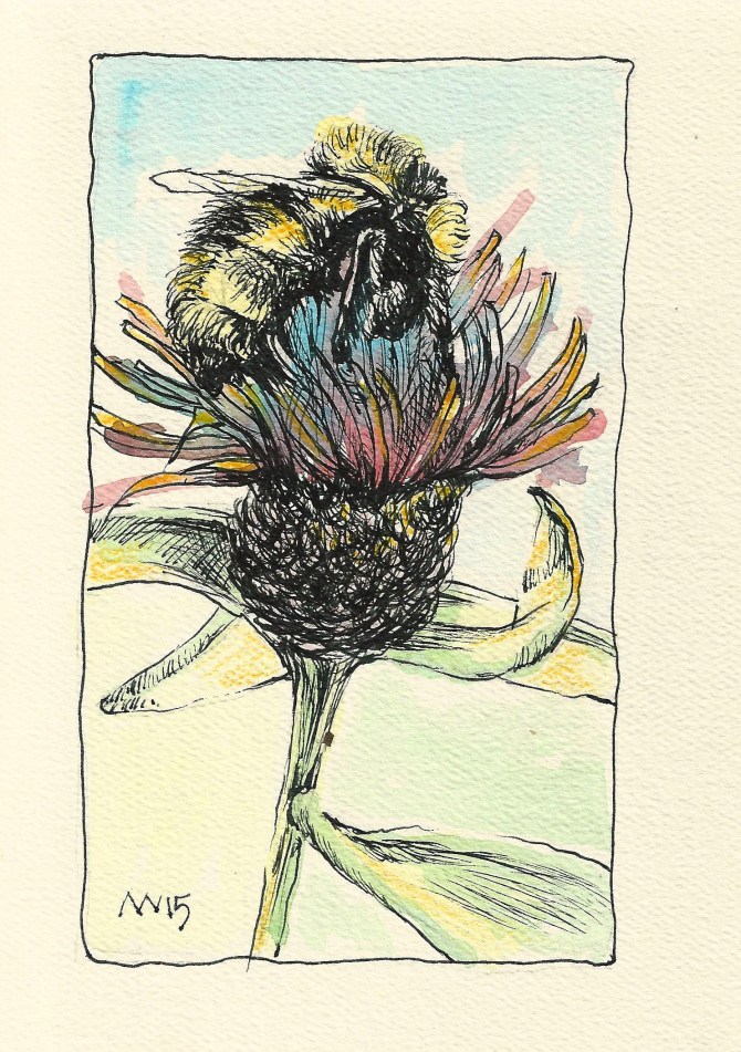 Quick study: watercolor and fountain pen