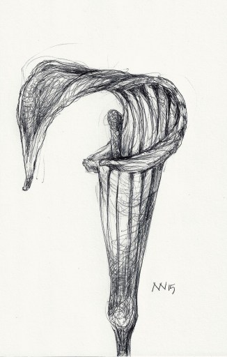 Ball point pen study