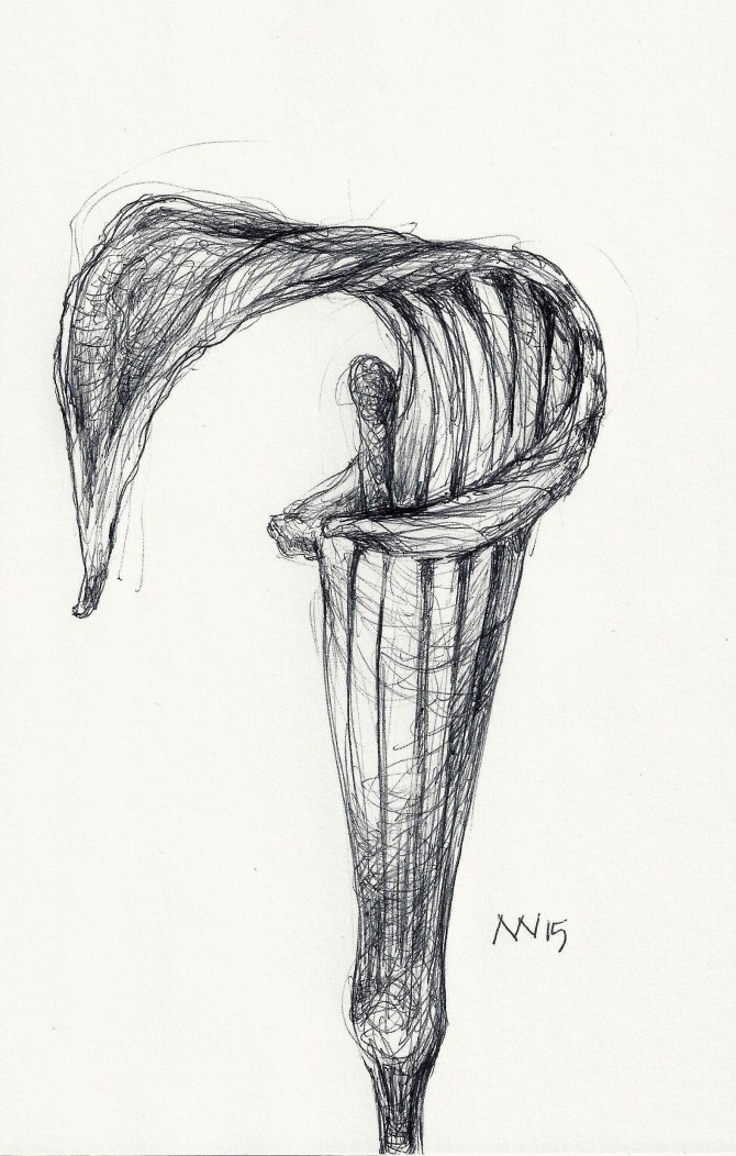 Ball point pen study