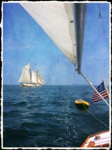 Captured with my iPad. Lucky shot!