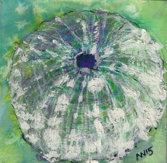 Sea Urchin: 4x4 panel, watercolor, encaustic, oil stick