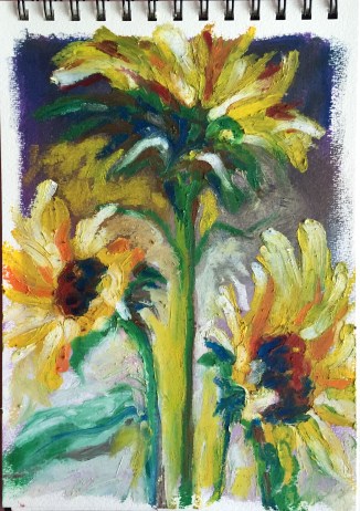 Sunflower study: oil pigment sticks on paper